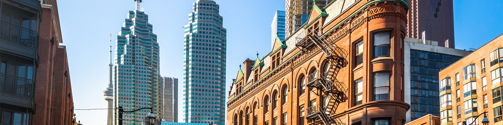 Employee and Team Coaching, Consulting and Development Services from Evelyn Akselrod of Altitude Success in Toronto